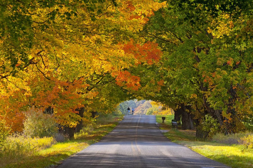 Michigan fall foliage
