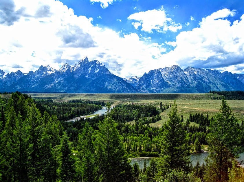 The Grand Tetons with evergreen trees in the foreground