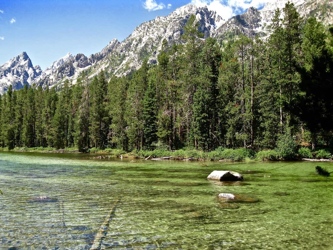View of clear water in String Lake with evergreens and mountains in background.
