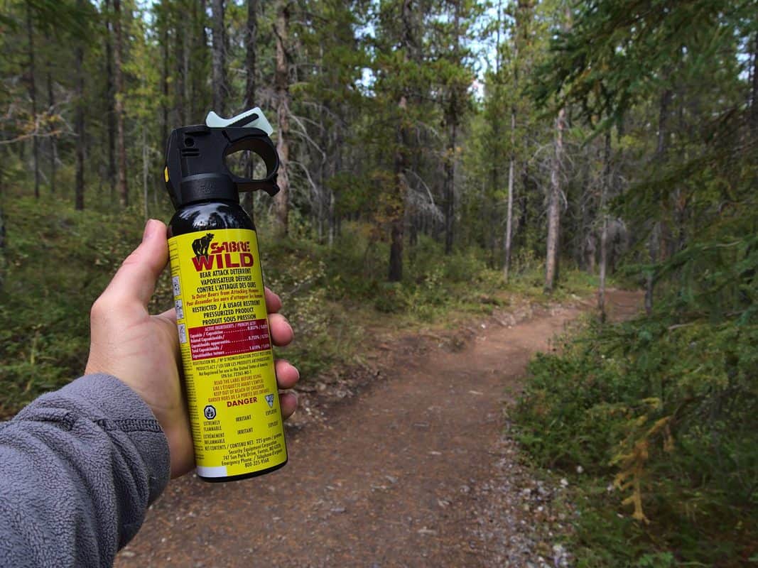 Person holding bear spray on trail.