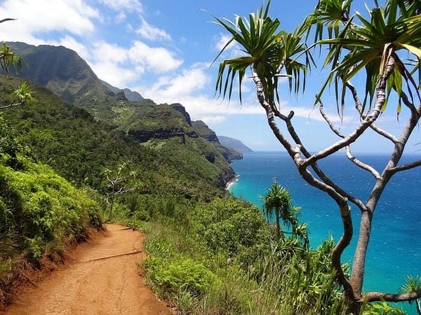 A dirt road leading to the ocean on the island of kauai.